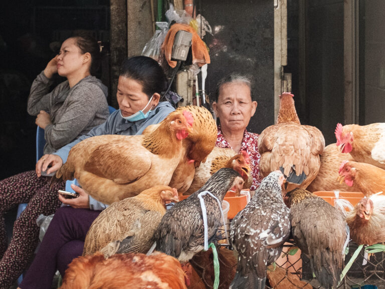 Andy Barraclough - Saigon Ho Chi Minh Color